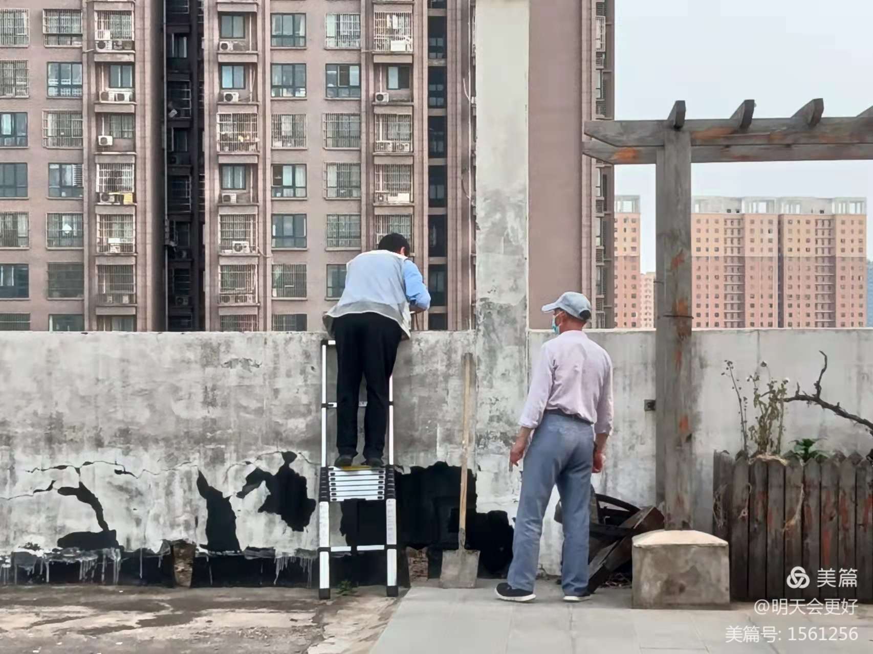 1651297539317827.jpg 1651297539317827.jpg