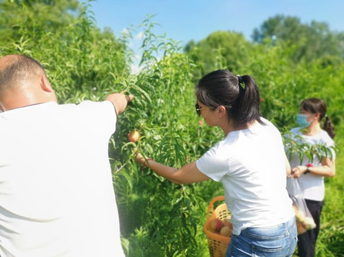 1657528822471042.jpg 2345_image_file_copy_13_副本.jpg