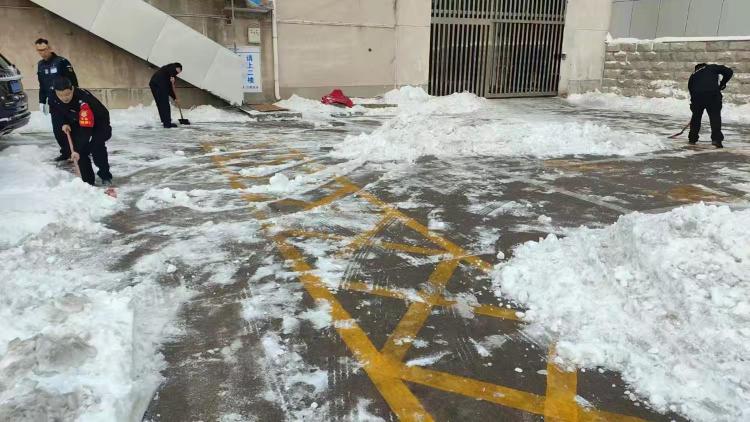 1769474775186646.jpg 1769474775186646.jpg