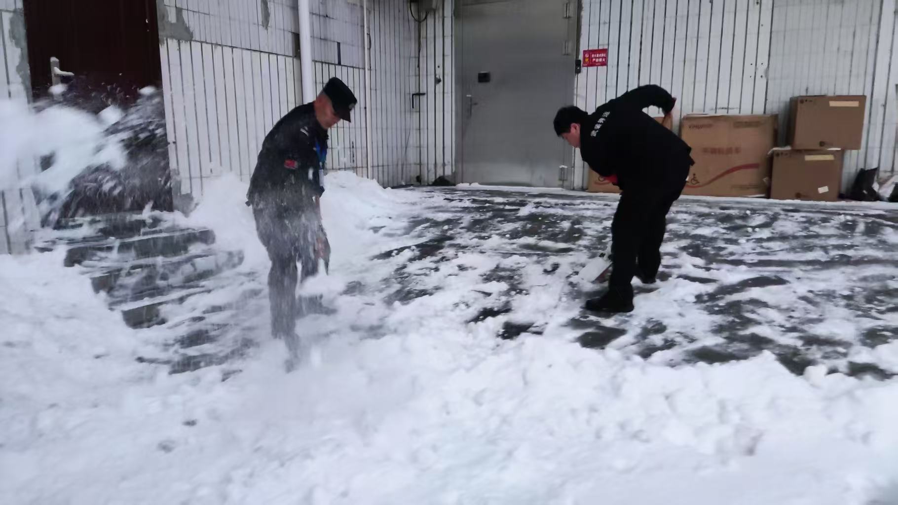 1769584335247215.jpg 1769584335247215.jpg